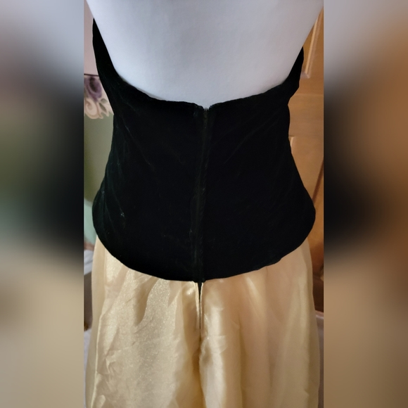 Vintage Ball Gown - Picture 4 of 9